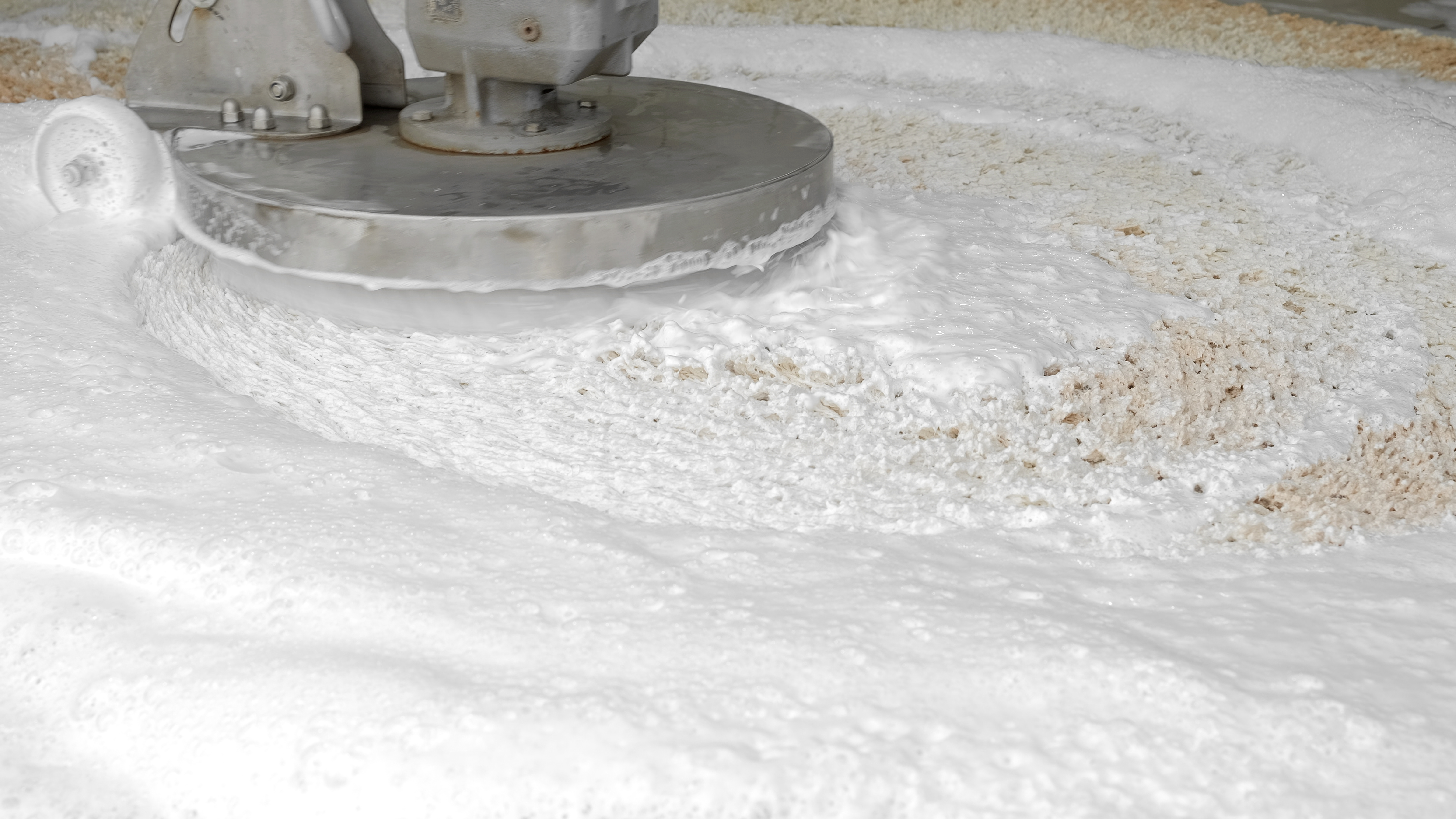 Worker scrubbing carpet